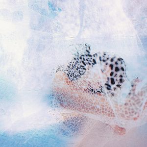 爆乳视频Xx逼水
