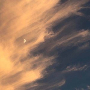 爆乳视频Xx逼水
